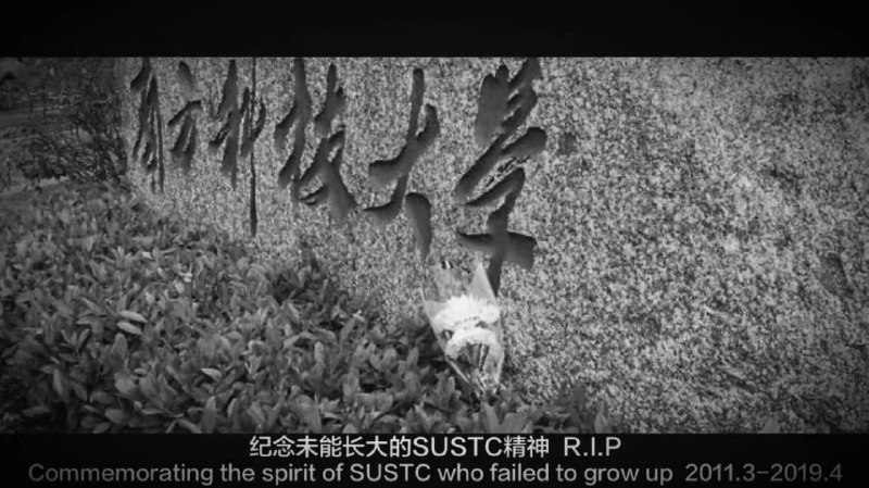 献花事件有感