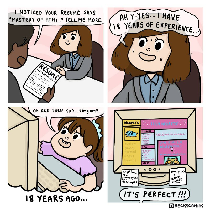 @ProgrammerHumor Experience