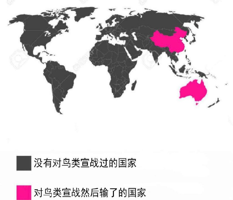 刷推的时候学到新知识了，