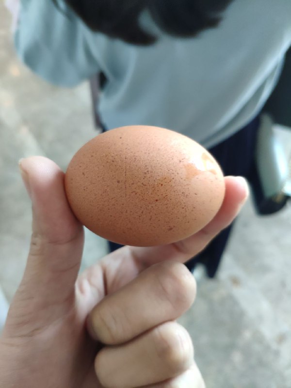 #朴素一餐 每次看 700 的价格走势，就不舍得再多吃公司哪怕五毛钱的早餐