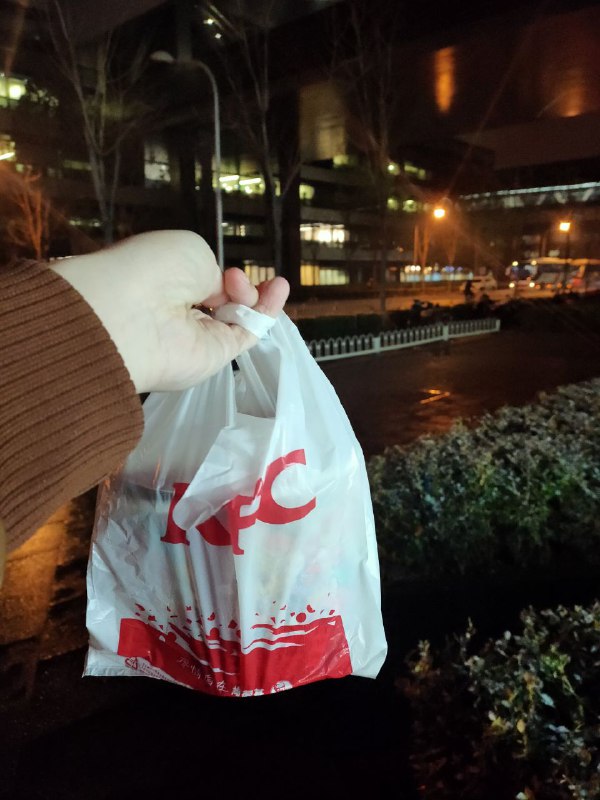 此时此刻啃着鸡腿打游戏，嘿嘿，望着雪景美滋滋