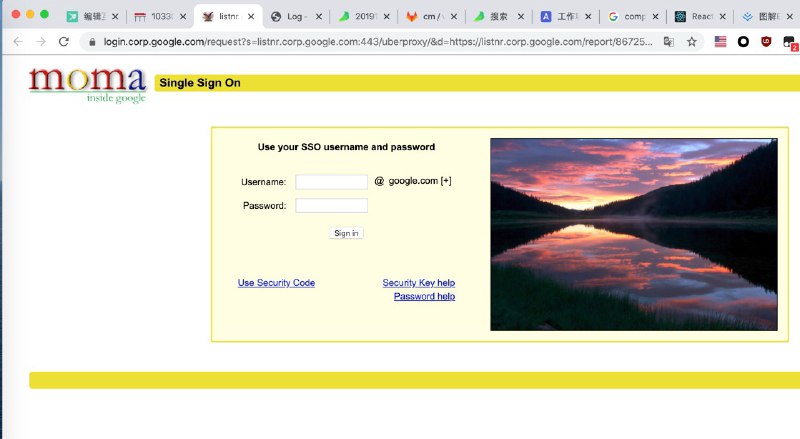 由Chrome这个bug，发现了Google的质朴登录界面 